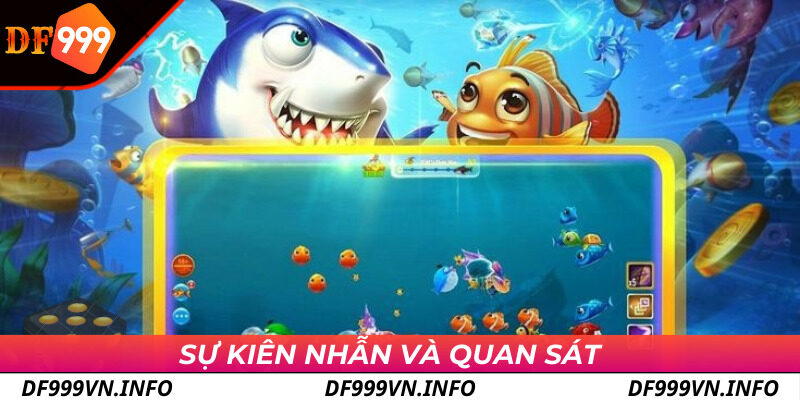 Kiên nhẫn và quan sát khi chơi bắn cá DF999