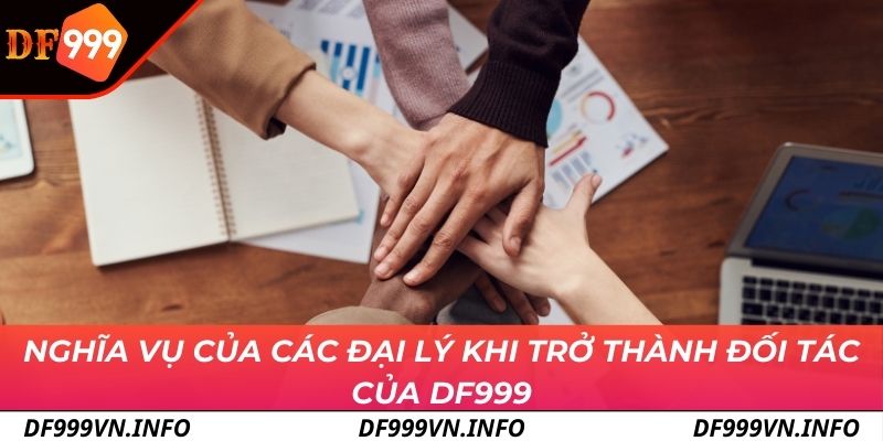 Nghĩa vụ của các đại lý khi trở thành đối tác của DF999